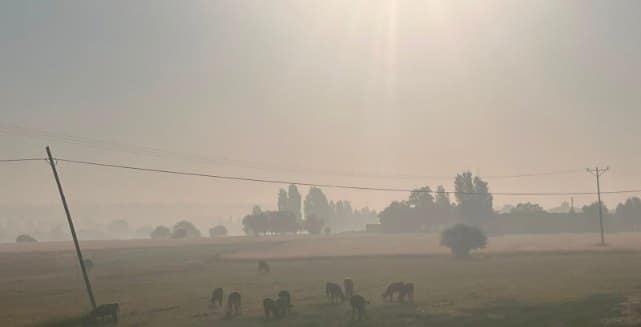 Aşkale'de Çimento Kirliliği Hukuka Taşındı